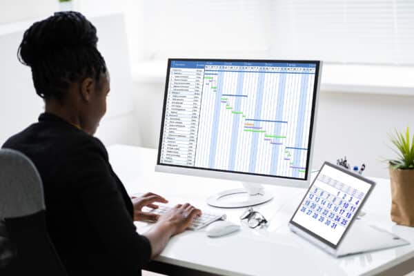 Digital Gantt Chart, Time Sheets Digital Gantt Chart, Time Sheets