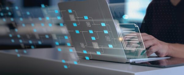 IT consultant being setup Virtual Document Management System (DM IT consultant being setup Virtual Document Management System (DM