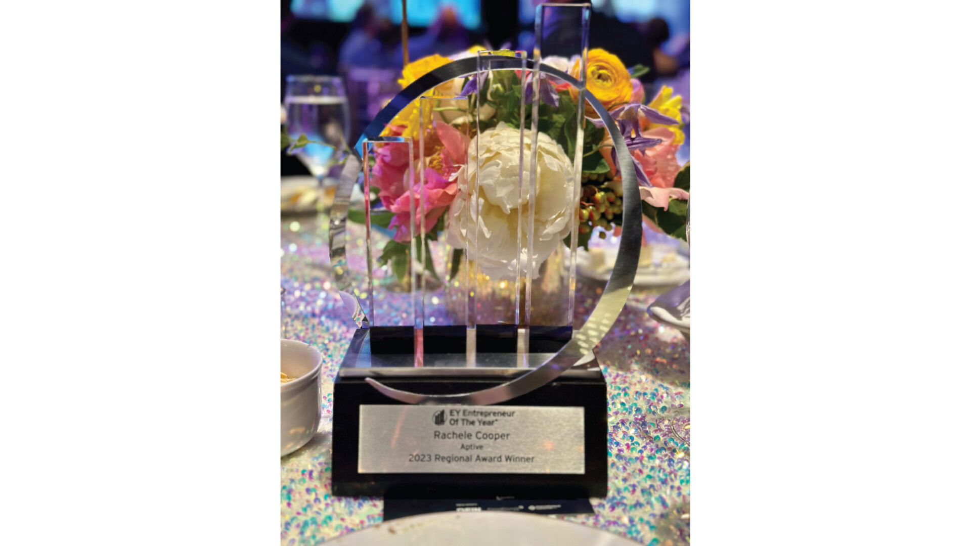 Aptive Resources CEO Rachele Cooper's EY Entrepreneur of the Year 2023 award.