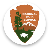NPS